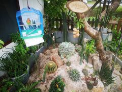 -呼吸森林·生态农庄农家乐私房菜