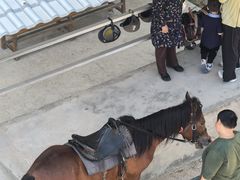 -石燕湖生态旅游景区