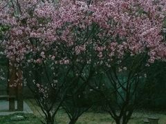 -木塔寺遗址生态公园