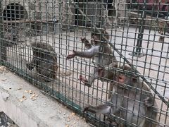 -南京金牛湖风景区