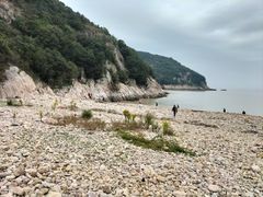 -花岙岛