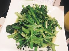 蒜蓉炒菜心-川里谈·川味小馆(北京路店)