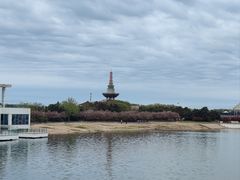 -日照世帆赛基地