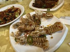 -阳江餐厅·30年老字号·粤菜海鲜大排档