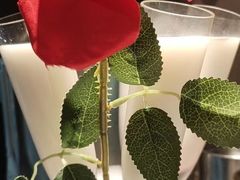 -春润大地海南椰子鸡(沙井京基百纳广场店)