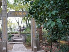 -上海佘山国家森林公园天马山园