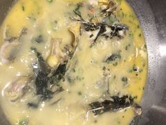 黄焖寻龙鱼-格塘人家·山泉水煮鱼(望兴家园店)