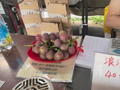 -马陆小张葡萄园农家乐