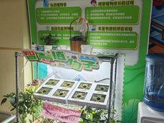 -艾克瑞特AI机器人·少儿编程·STEAM教育(万达校区)