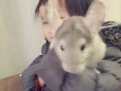 -藦茜花园宠物主题亲子互动体验馆(国顺东路店)