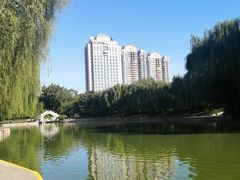 -团结湖公园