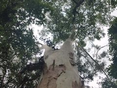 -广州市白云山风景名胜区