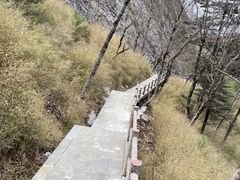 -朱雀国家森林公园