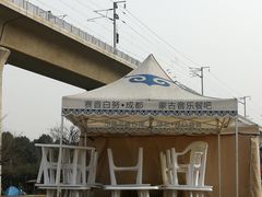 -秀丽东方