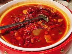 毛血旺-金鼎轩(方庄天坛店)