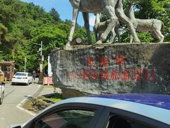 -长沙黑麋峰国家森林公园