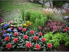 -深圳国际园林花卉博览园