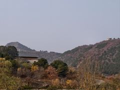 -北京中信金陵酒店