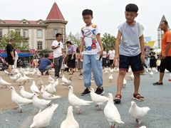 -烟台海昌鲸鲨海洋公园