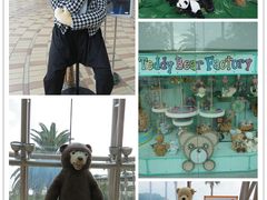 -济州岛泰迪熊博物馆