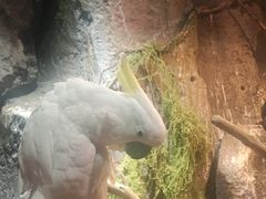 -正佳雨林生态植物园
