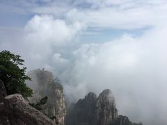 -自游人·美食一楼·地道徽菜(三十年名店)