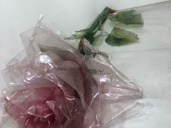 -COMME des GARCONS(银座三越店)