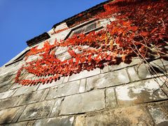 -塔川景区