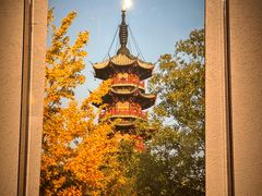 -龙华寺