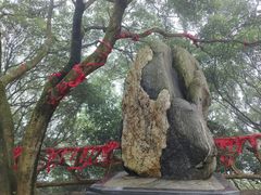 -广州市帽峰山景区