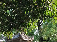 -龙华寺