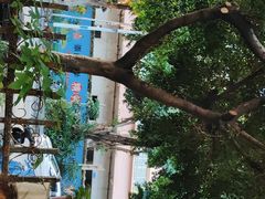 -广西大学(大学东路校区)