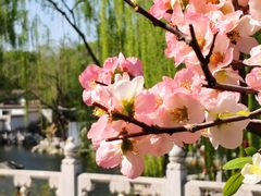 -陶然亭公园