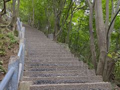 -紫金山山顶公园