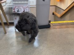 -爱派特动物医院·全科诊疗中心