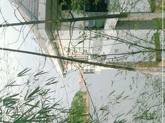 -仙海旅游度假区