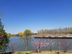 -东郊湿地公园