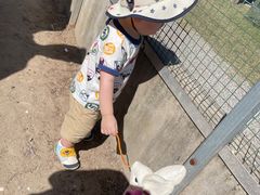 -前小桔亲子创意农场·草莓采摘·露营烧烤