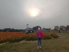 -空港花田景区