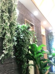 点击看大图 -芳朵美容养生SPA