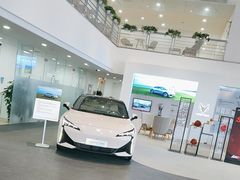 -北汽鹏龙ARCFOX极狐(国贸店)