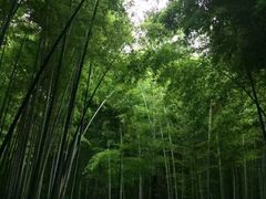 -宝岩生态观光园