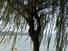 -晓琦农家菜馆·地道农家菜