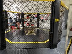 -FLARE STAR FITNESS(复地活力城店)