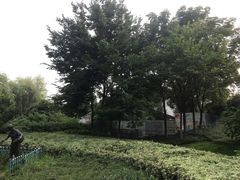 -杭州城北体育公园