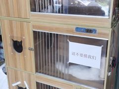 -A猫a狗全科·犬猫异宠·芥西宠物医院(南开总院)