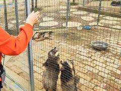 -武汉紫薇都市田园