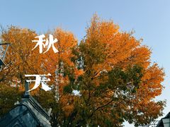 -仙豆菓夫(鼓楼店)