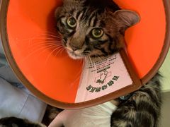 -百信宠物医院(东升街店)