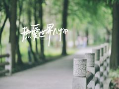 -溱湖国家湿地公园